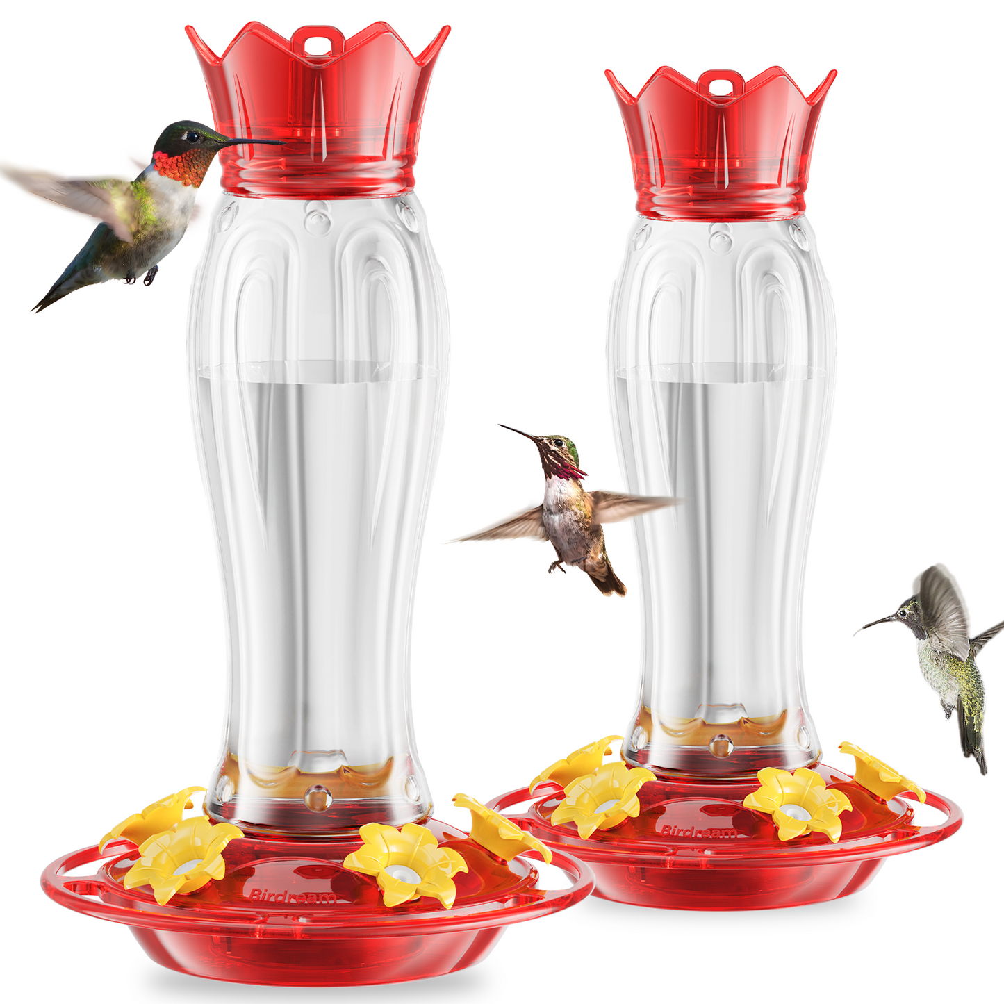 Hanging Hummingbird Feeder, 15oz, Ant Moat, Plastic, Easy to Refill