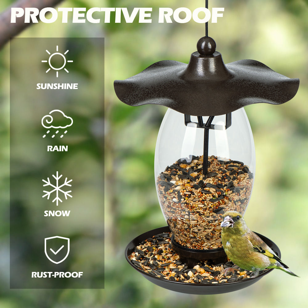 Birdream Bird Feeder for Outside Hanging Glass Wild Black Heavy Duty Metal Wavy Design Bird Feeders with 1.5 lb Bird Seed Capacity Unique Art Decor for Garden Yard Lawn
