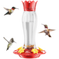 Hanging Hummingbird Feeder, 15oz, Ant Moat, Plastic, Easy to Refill