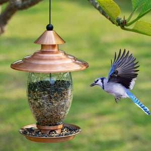 Birdream Bird Feeder Outdoor Hanging for Wild Metal Bird Feeder with Crackle Glass Copper Brush Finish Bird Feeders for Garden Yard Outside Decoration