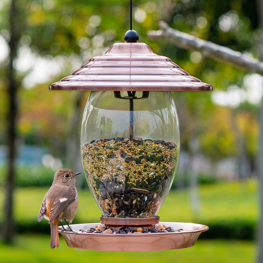 Birdream Bird Feeder for Outside Hanging with Metal Roof Copper Brush Finish Glass Wild Bird Feeder 3 lb Bird Seed Capacity for Outdoors Weatherproof Garden Decoration