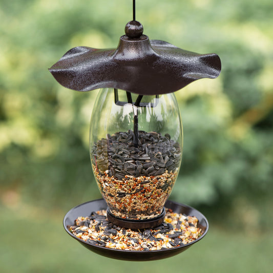 Birdream Bird Feeder for Outside Hanging Glass Wild Black Heavy Duty Metal Wavy Design Bird Feeders with 1.5 lb Bird Seed Capacity Unique Art Decor for Garden Yard Lawn