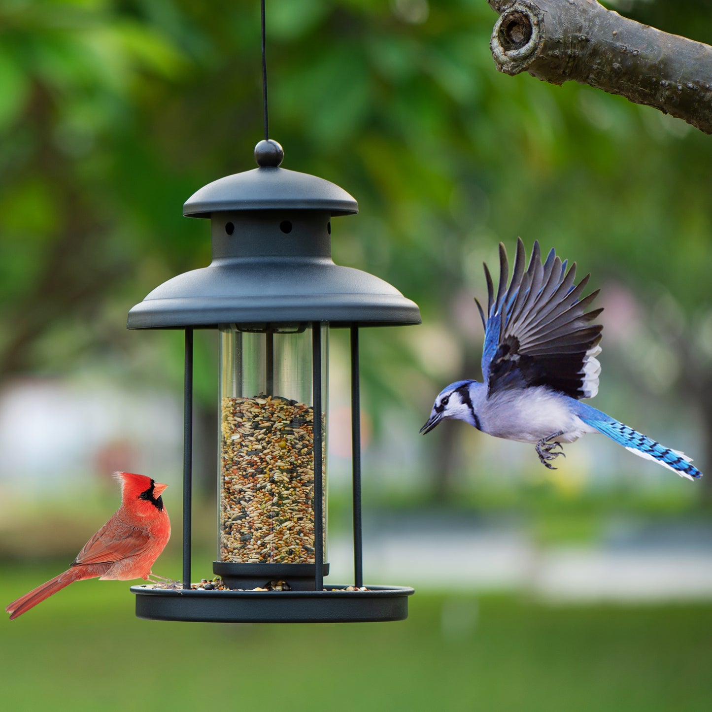 Birdream Bird Feeder Outdoor Hanging for Metal Bird Feeder Palace Shaped Wild Bird Feeders for Garden Yard Outside Decoration